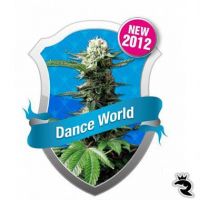 Dance World