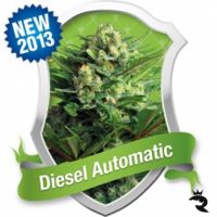 Diesel Automatic