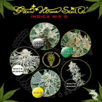 Indica G Mix