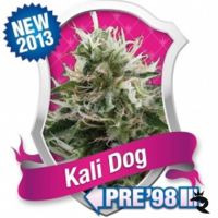 Kali Dog