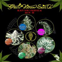 Sativa / Indica D Mix