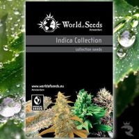 World of Samen Indica Collection