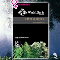 World of Samen Landrace Sativa Collection