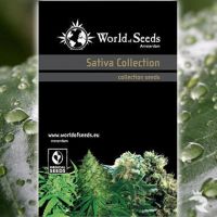 World of Samen Sativa Collection