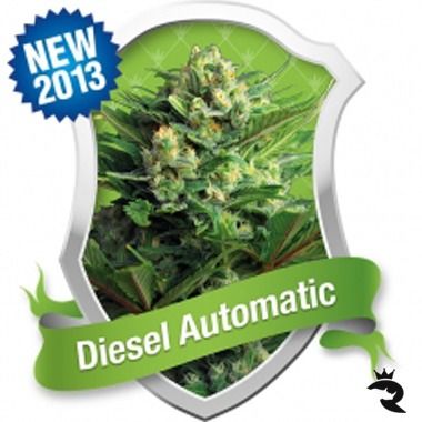 Diesel Automatik