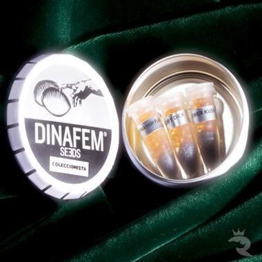 DinaFem Mix Paket #1