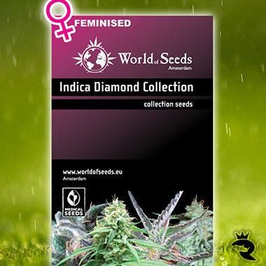 Indica Diamond Kollektion