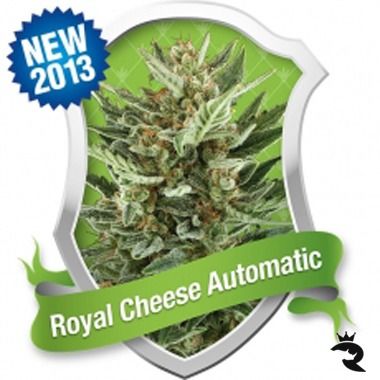 Royal Cheese Automatik