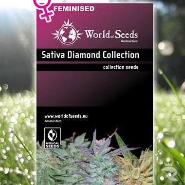 Sativa Diamond Kollektion