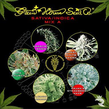 Sativa / Indica A Mischung