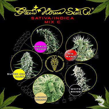 Sativa / Indica C Mischung