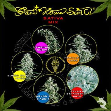 Sativa-Mischung