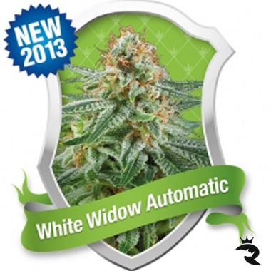 White Widow Automatik