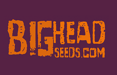 Big Head Seeds