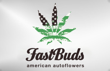 Fast Buds