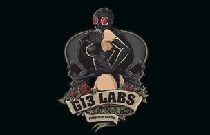 G13 Labs