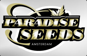 Paradise Seeds feminisiert