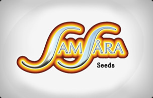 Samsara Seeds