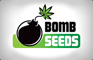 Bomb Seeds Regulär