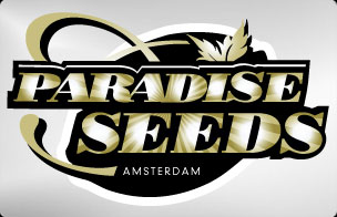 Paradise Seeds Autoflowering