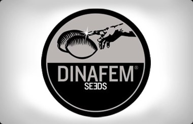 DinaFem Auto