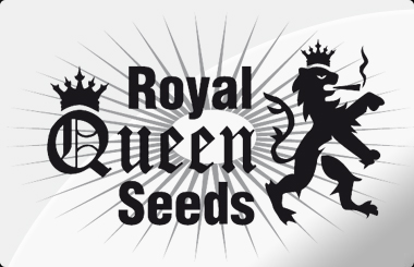 Royal Queen Samen Autoflowering