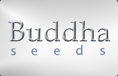 Buddha Seed Bank