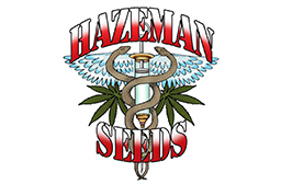 Hazeman Seeds