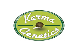 Karma Genetics