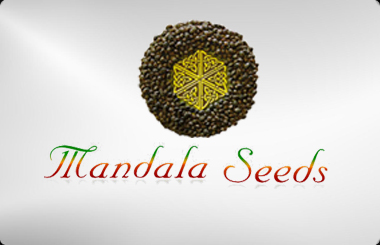 Mandala Seeds