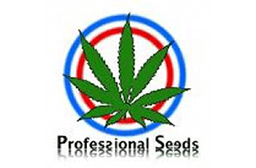 Professional Seeds