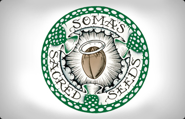 Soma Feminized